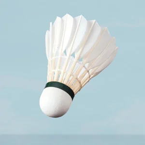 Shuttlecocks